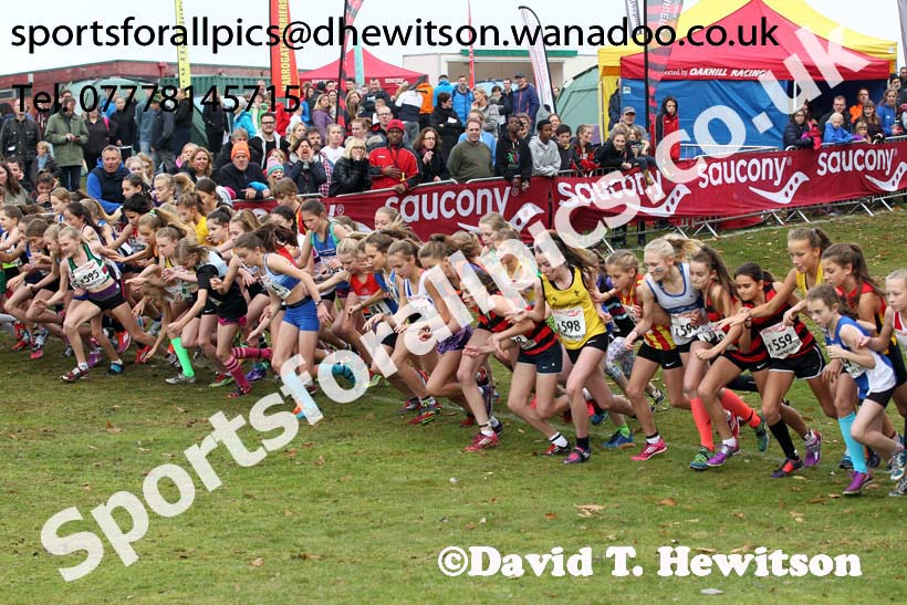 Girls under-13s, National Cross Country Relays, Berry Park, Mansfield. Photo: David T. Hewitson/Sports for All Pics